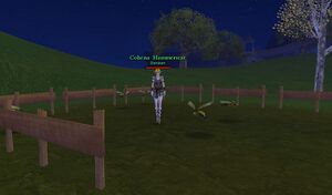 Cohena Hammerstar.jpg