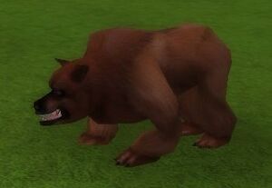 Bear Cub.jpg