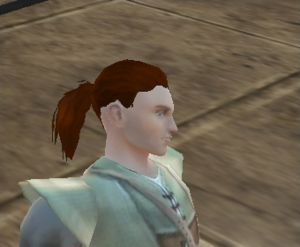 Human Male Hair1.png