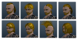 Human male hairs.png