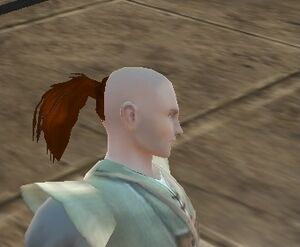 Human Male Hair16.jpg