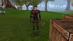 Findor Nightbreeze.jpg