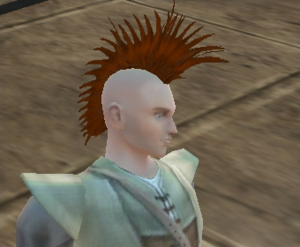 Human Male Hair11.png