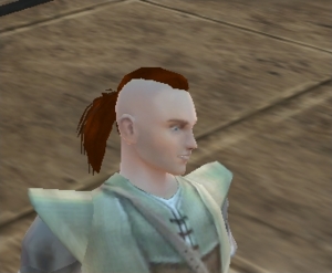 Human Male Hair10.png
