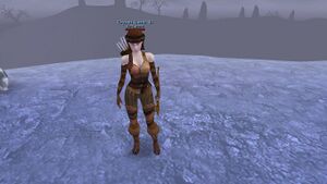 Crystal Guard VI.jpg