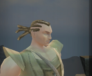 Molok Male Hair12.png