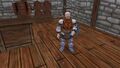 Thumbnail for version as of 21:08, 6 November 2020