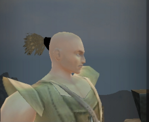 Molok Male Hair1.png