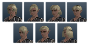 Halfelf male hairs.png
