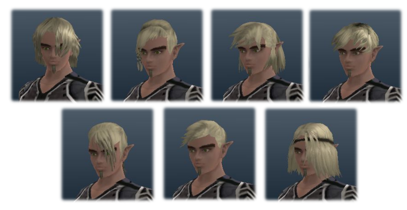File:Halfelf male hairs.png