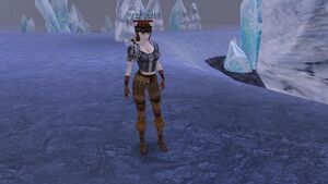 Crystal Guard II.jpg