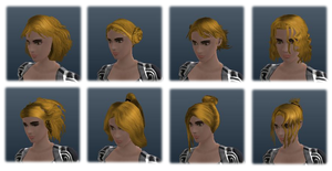 Human female hairs.png