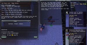 The Chest Lock - Magic Words (Alsius) Quest Screenshot.jpg