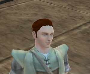 Human Male Hair5.png