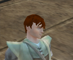 Human Male Hair12.png
