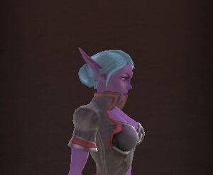 Dark Elf Female Hair12.jpg